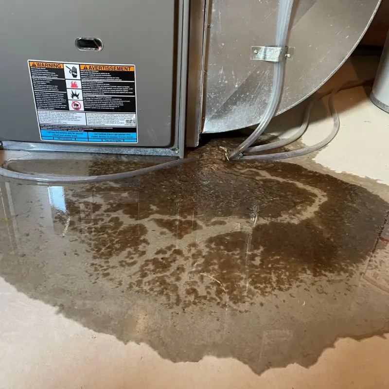 Appliance Leak Cleanup in Del Monte Forest, CA